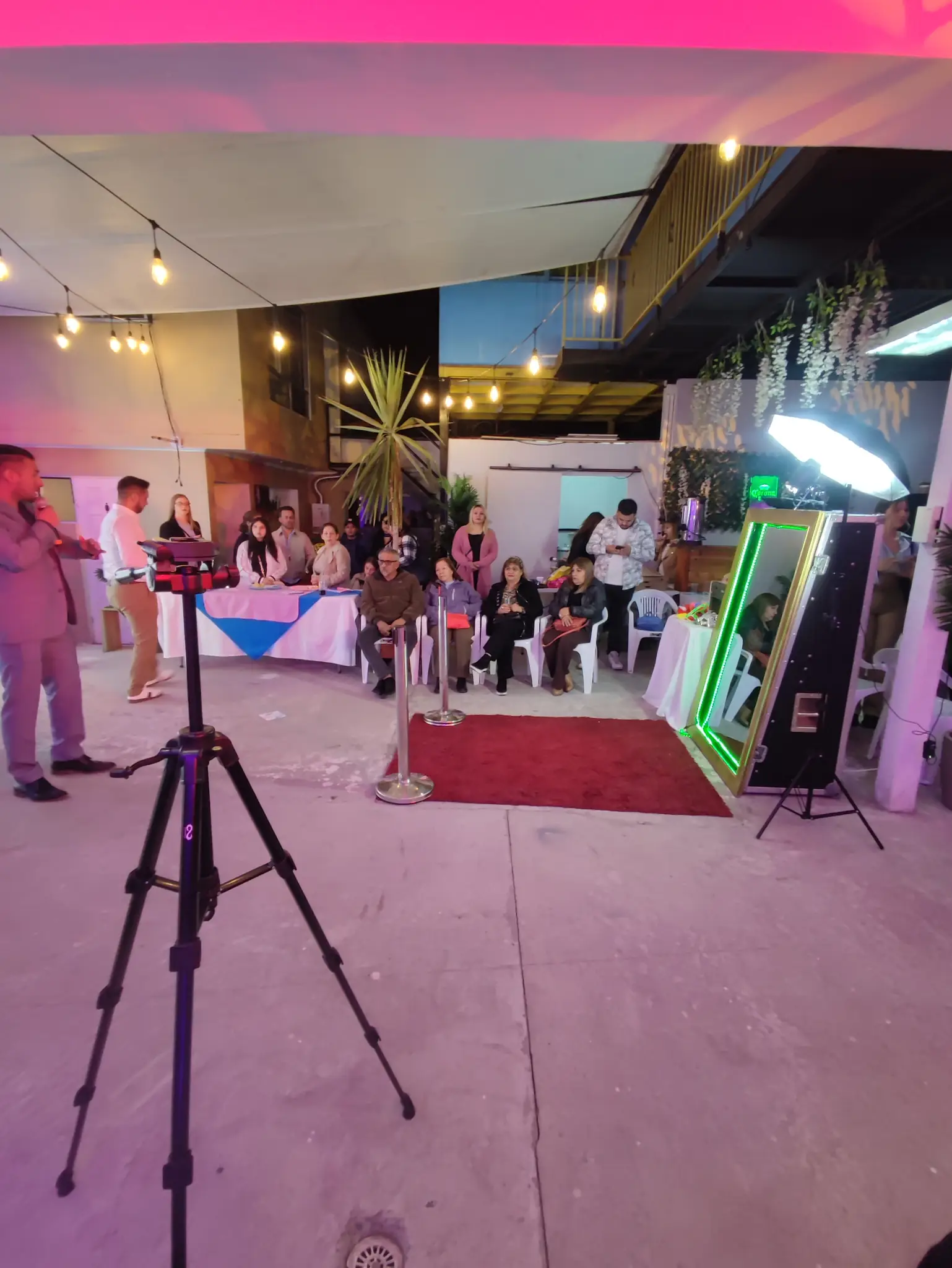 revelacion genero (1).webp